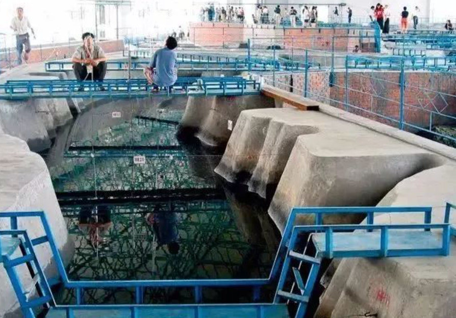 市政污水(污水处理)