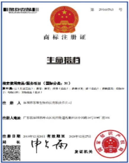 荣誉证书7