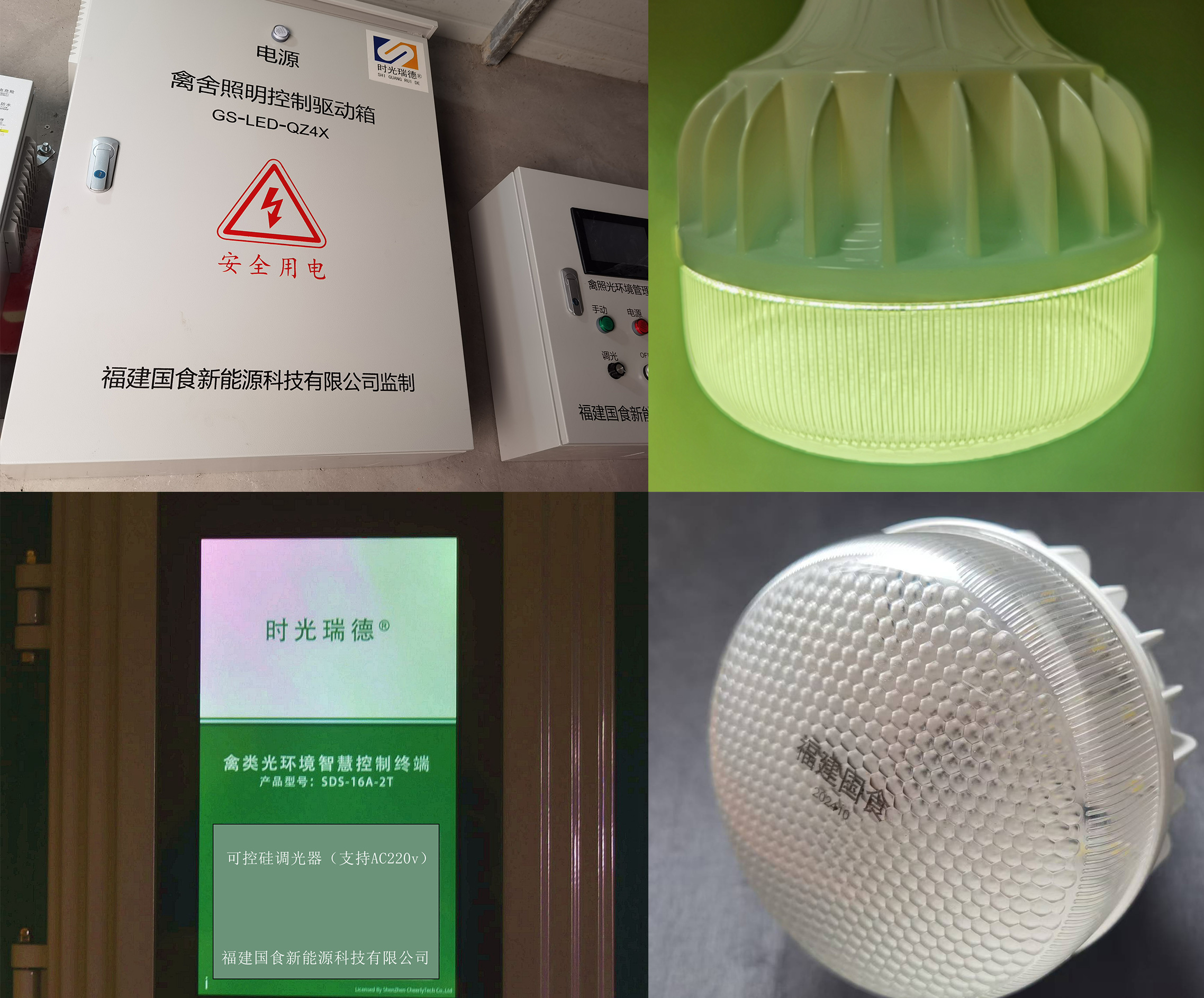 智光赋能 精益养殖——福建国食新能源科技打造新一代智能养殖光照系统